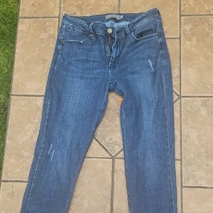 Just USA Blue Skinny Jeans with Classic Style